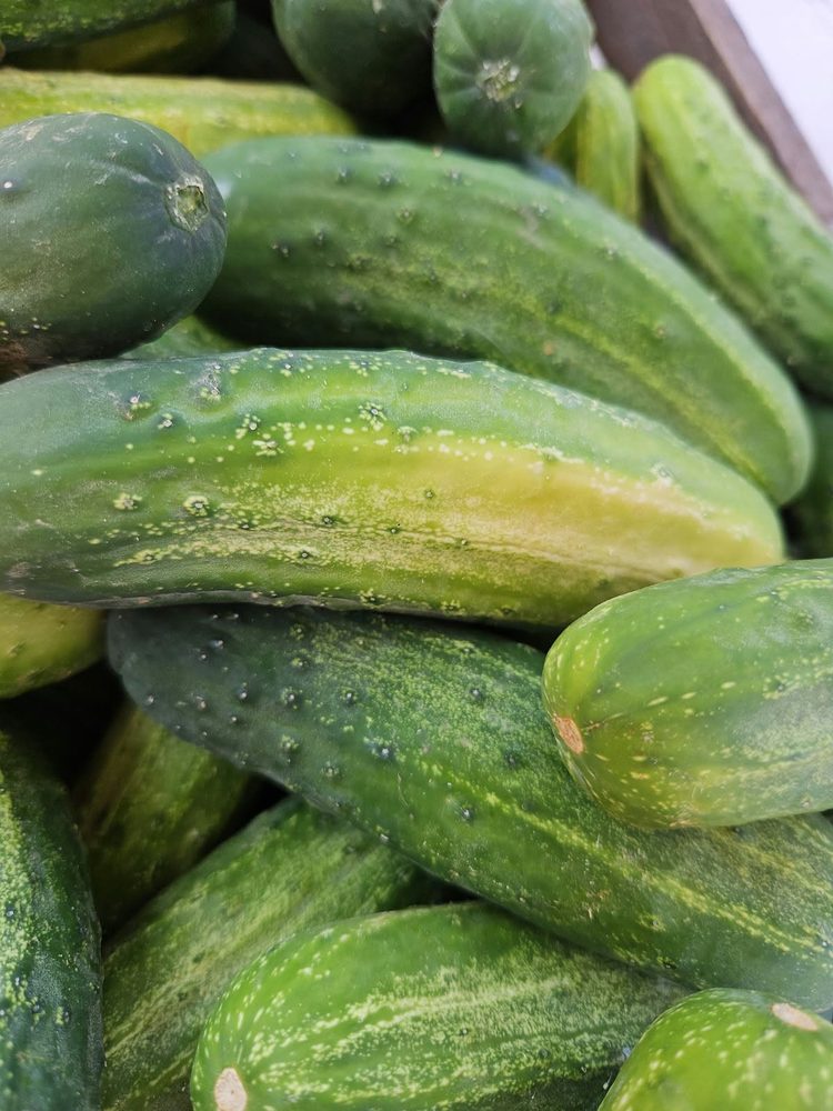 Cucumbers