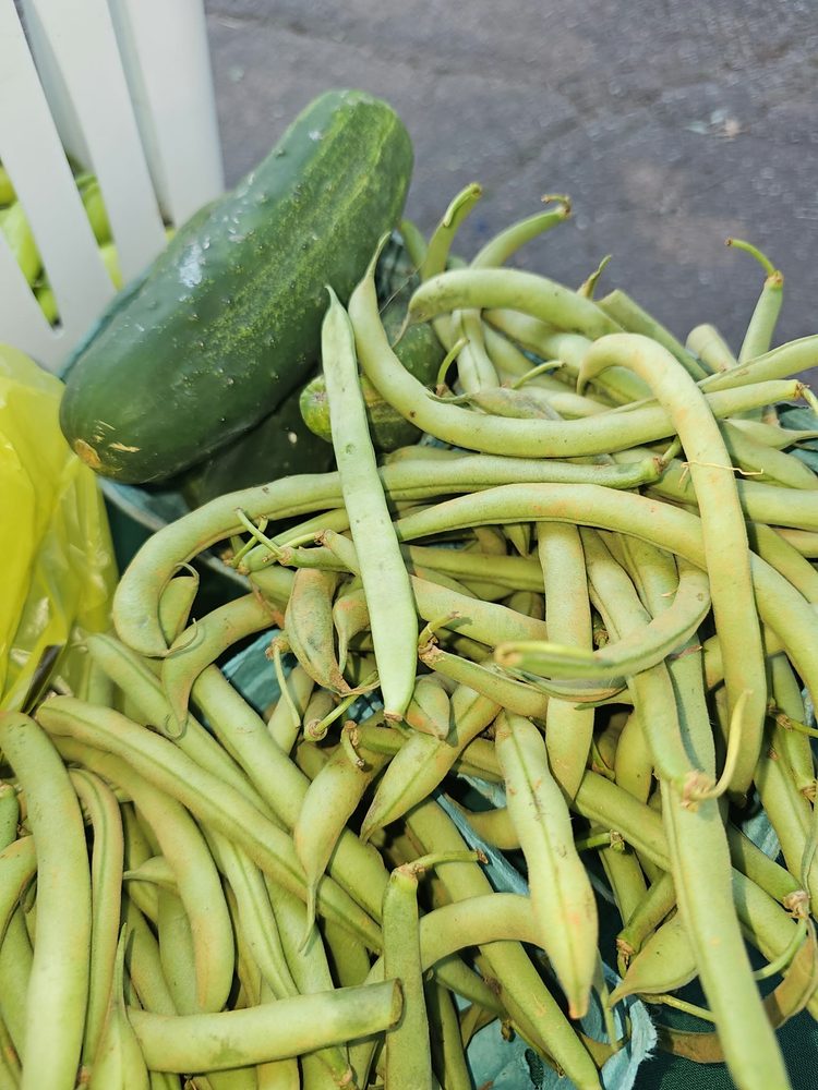 Green beans and a cucumber