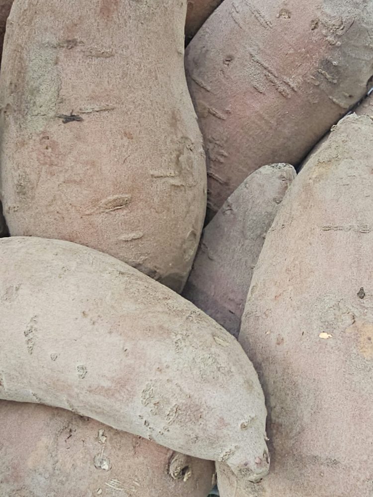 Sweet potatoes