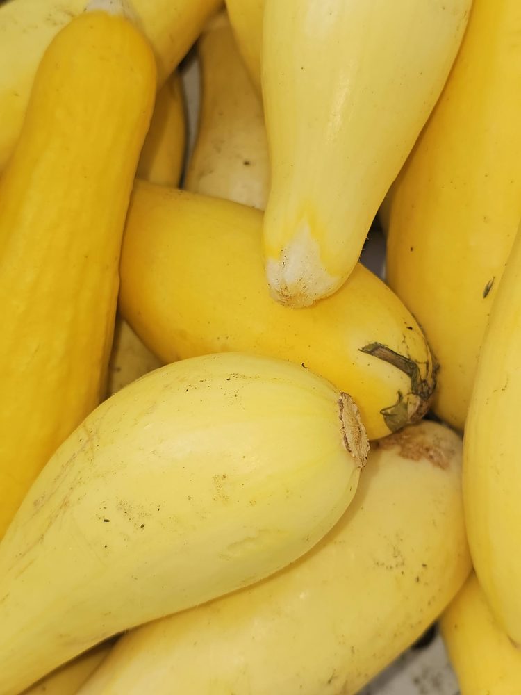 Yellow squash